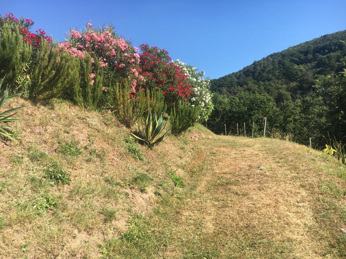 Cinque Terre, Tuscany, Liguria, Lerici #5 Eksteriør billede